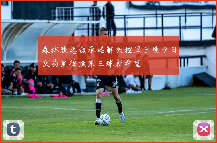 森林狼总裁承诺解决控卫困境今日交易里德换来三球新希望