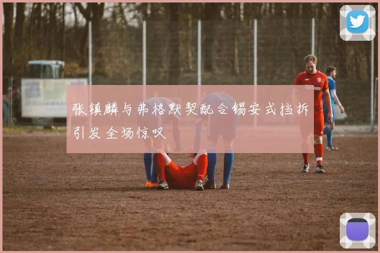 张镇麟与弗格默契配合锡安式挡拆引发全场惊叹